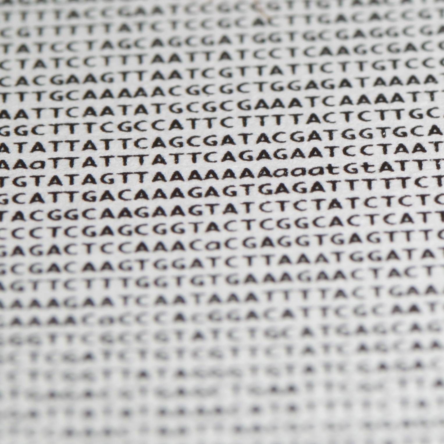 Analysis of genome sequence